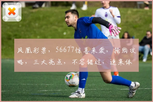 凤凰彩票，56677惊喜来袭，抢购攻略，三大亮点，不容错过，速来体验