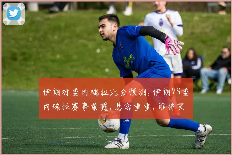 伊朗对委内瑞拉比分预测,伊朗VS委内瑞拉赛事前瞻,悬念重重,谁将笑到最后