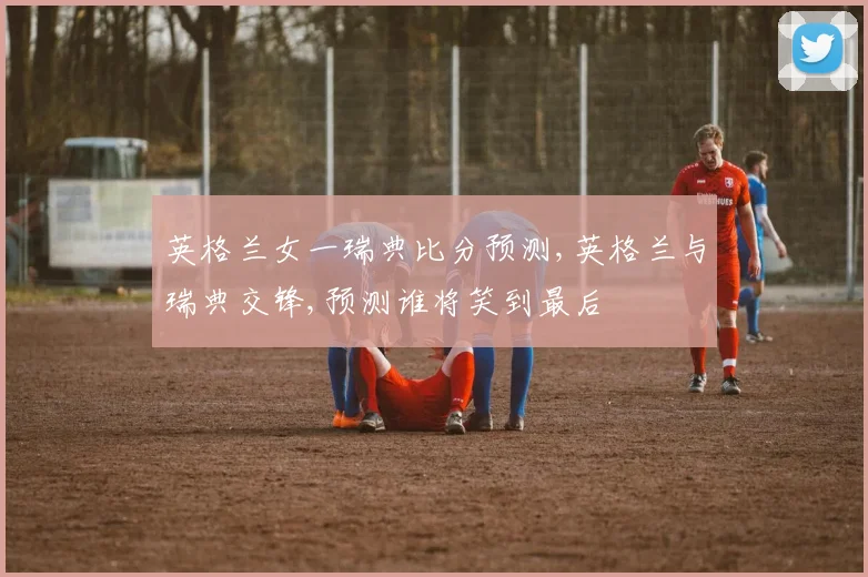 英格兰女一瑞典比分预测,英格兰与瑞典交锋,预测谁将笑到最后